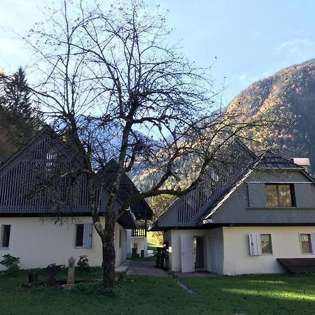 Cozy Cottage In The Heart Of The Triglav National Park Soča Eksteriør billede