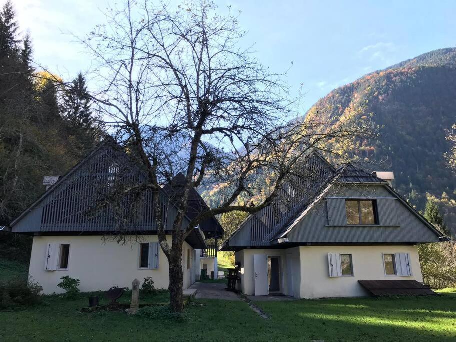 Cozy Cottage In The Heart Of The Triglav National Park Soča Eksteriør billede