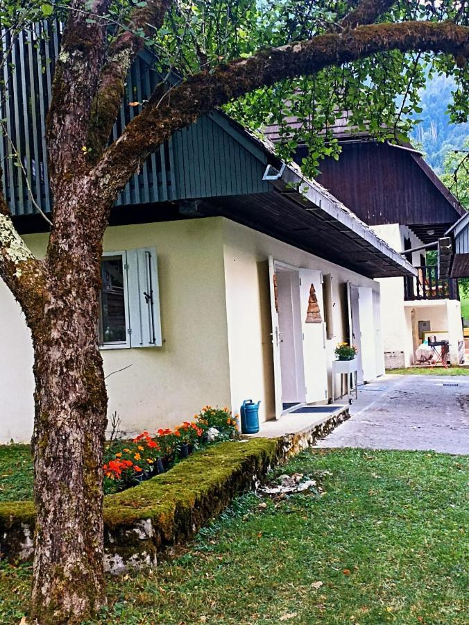 Cozy Cottage In The Heart Of The Triglav National Park Soča Eksteriør billede