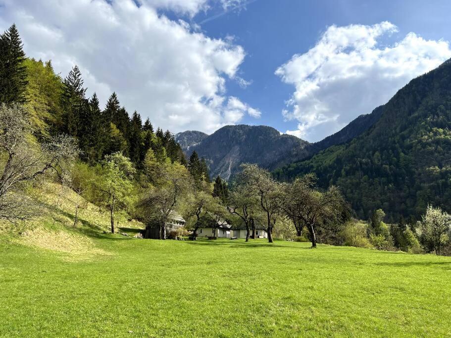 Cozy Cottage In The Heart Of The Triglav National Park Soča Eksteriør billede