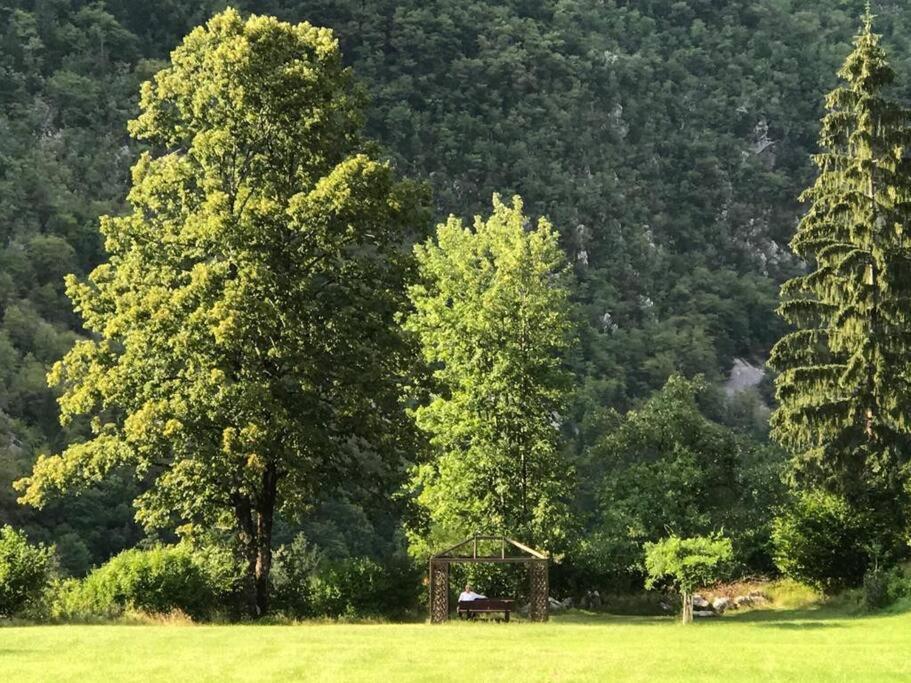 Cozy Cottage In The Heart Of The Triglav National Park Soča Eksteriør billede