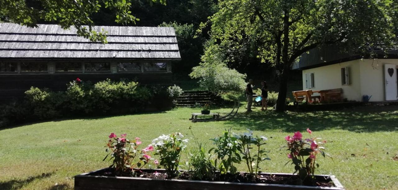Cozy Cottage In The Heart Of The Triglav National Park Soča Eksteriør billede