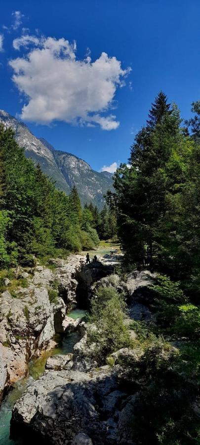 Cozy Cottage In The Heart Of The Triglav National Park Soča Eksteriør billede
