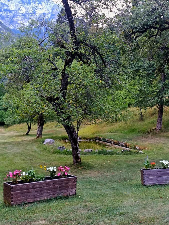 Cozy Cottage In The Heart Of The Triglav National Park Soča Eksteriør billede