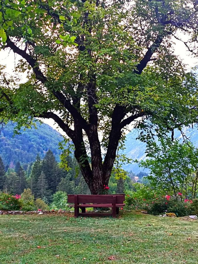 Cozy Cottage In The Heart Of The Triglav National Park Soča Eksteriør billede